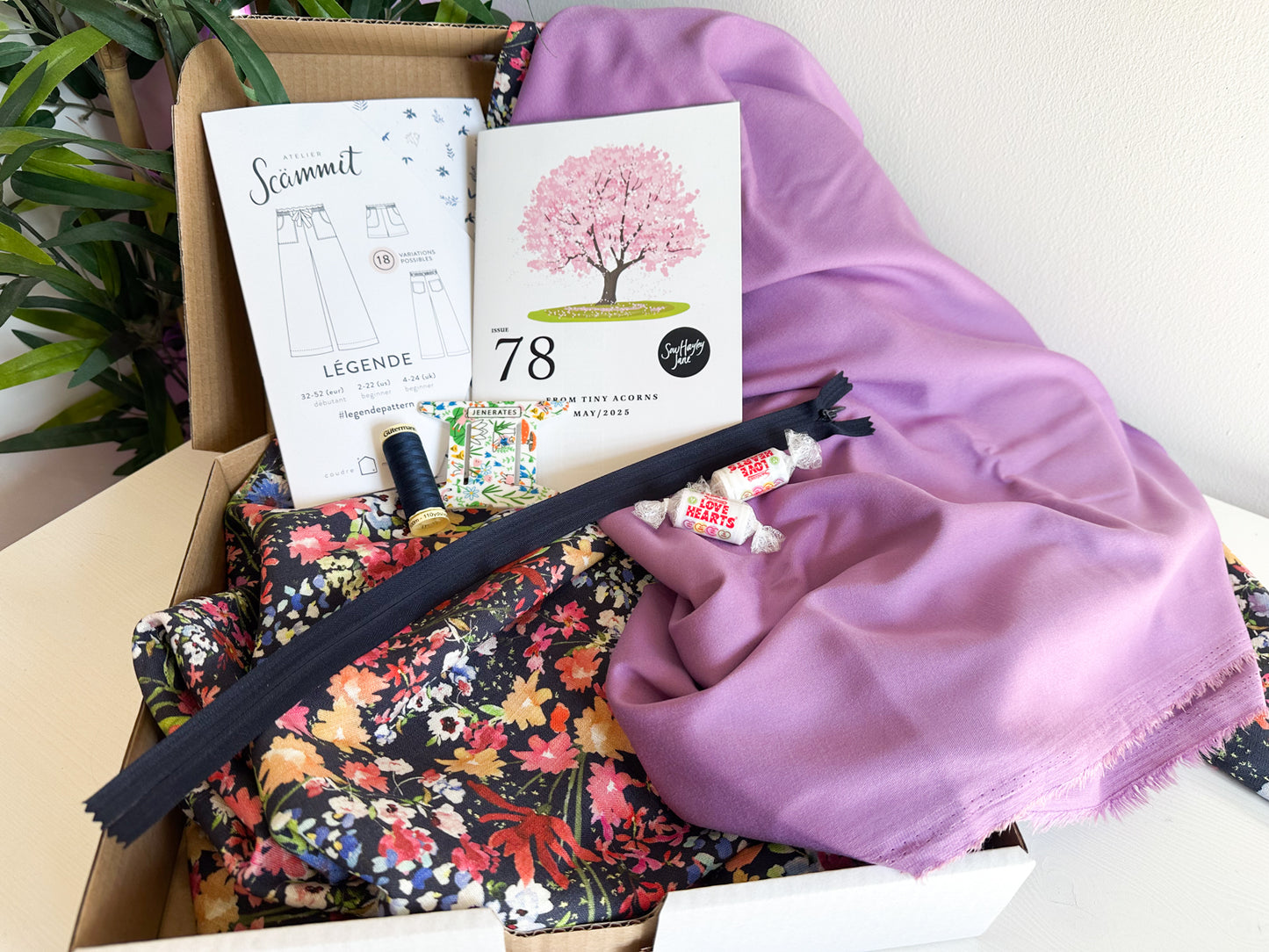 "From Tiny Acorns" Luxury Box - Navy